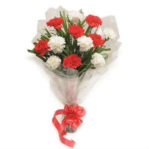 12 Red and White Carnations